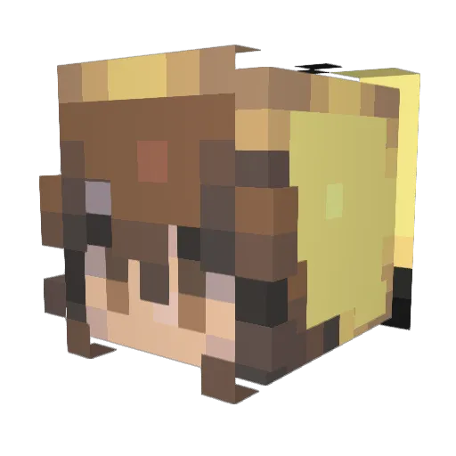 Envirun Minecraft avatar head, 3D render