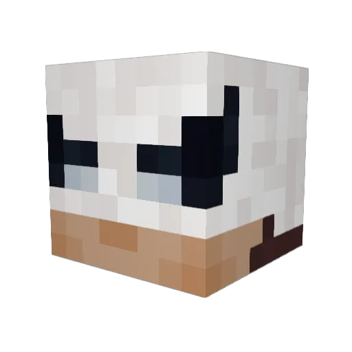 Envixity001 Minecraft avatar head, 3D render