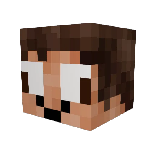Envixity454 Minecraft avatar head, 3D render