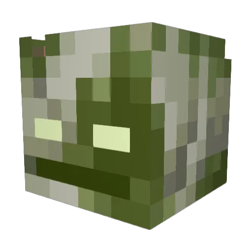 Envixity5153 Minecraft avatar head, 3D render