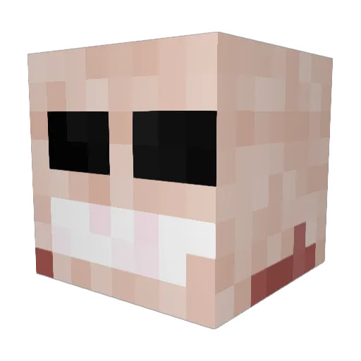 EnvixityRagava Minecraft avatar head, 3D render