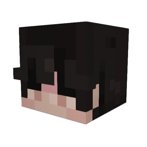 EnvixityTTV Minecraft avatar head, 3D render