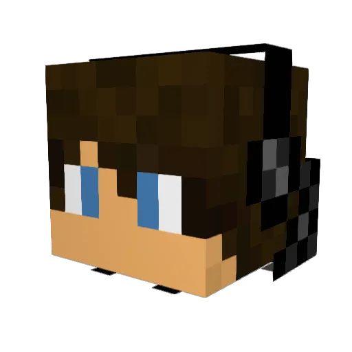 Envy245 Minecraft avatar head, 3D render