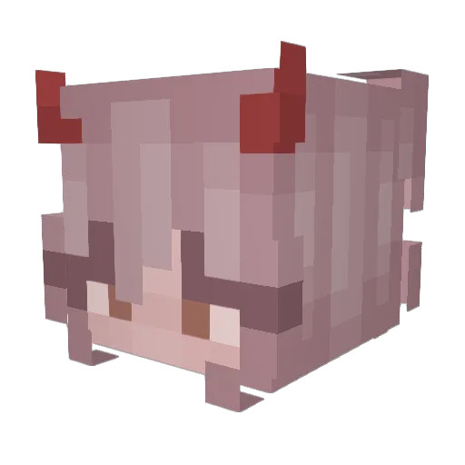 Envy8110 Minecraft avatar head, 3D render
