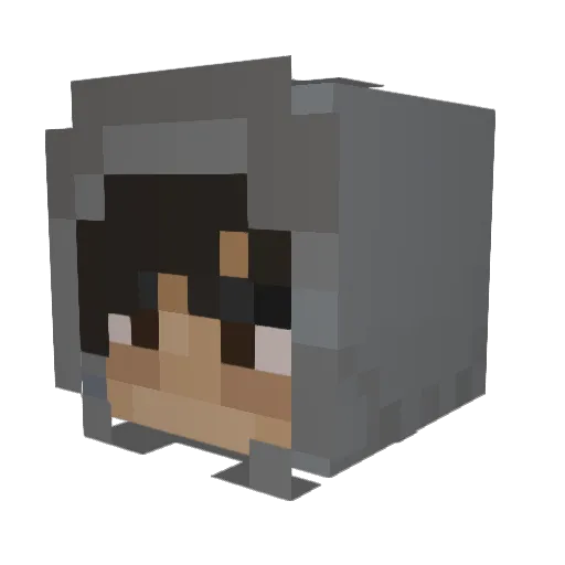 EnvyLarry7887 Minecraft avatar head, 3D render