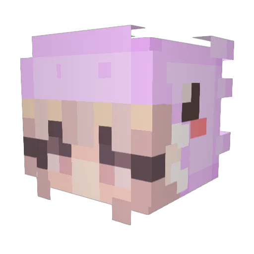 EnvyReaper Minecraft avatar head, 3D render