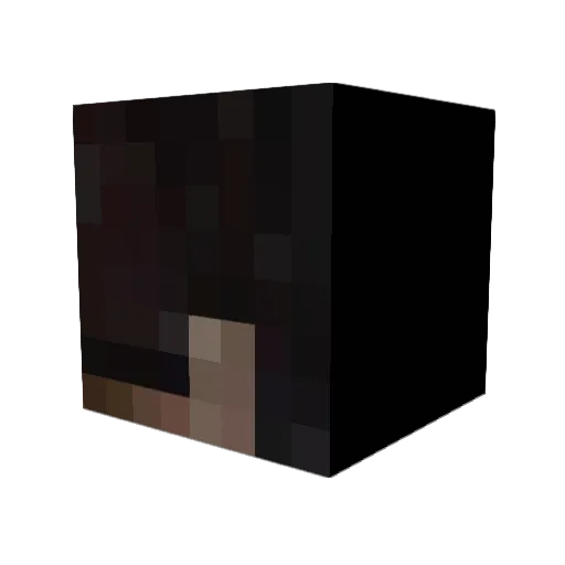 Envyedits Minecraft avatar head, 3D render
