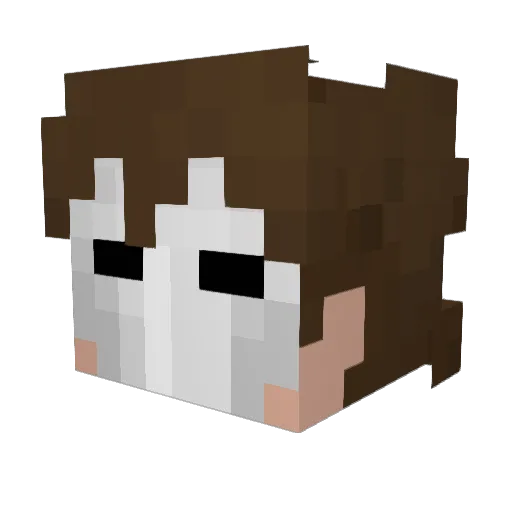 Envyzs Minecraft avatar head, 3D render