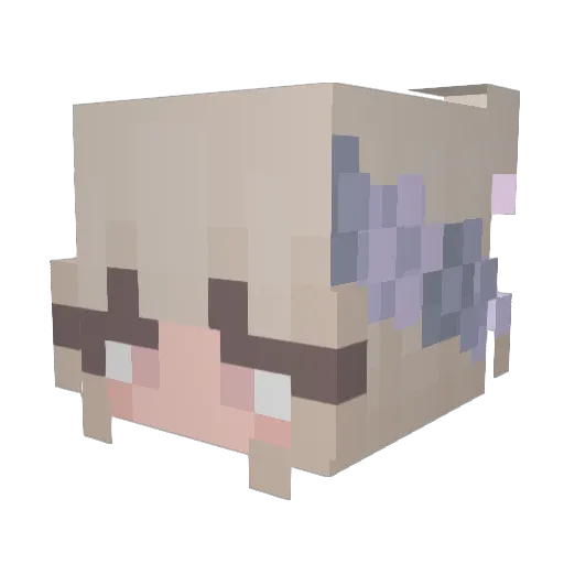 EnxoG0D Minecraft avatar head, 3D render