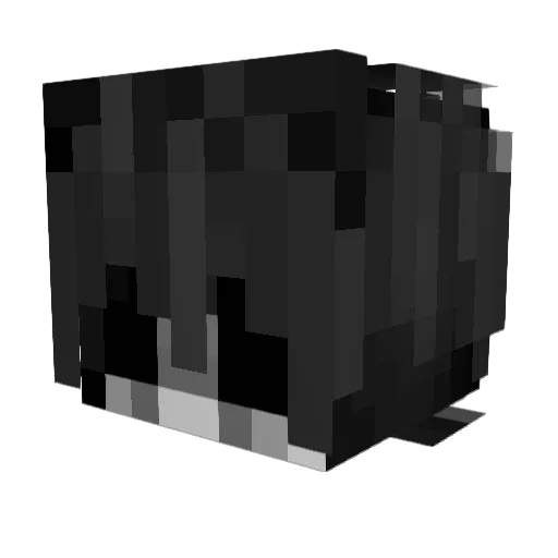 EnyelVD Minecraft avatar head, 3D render
