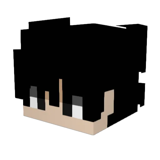 Enzebi Minecraft avatar head, 3D render