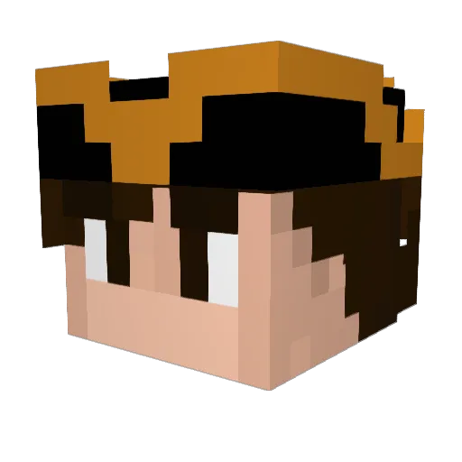 Enzio_Robbenzio Minecraft avatar head, 3D render