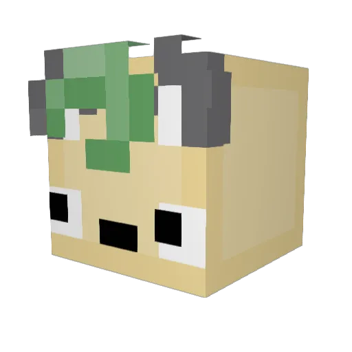 Enzologies Minecraft avatar head, 3D render