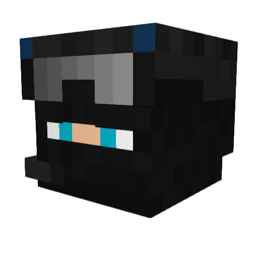 Enzow_ww Minecraft avatar head, 3D render