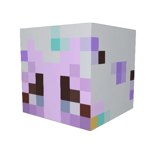 EoandCo_ Minecraft avatar head, 3D render