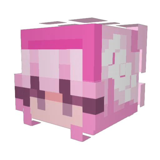 Eobrah Minecraft avatar head, 3D render