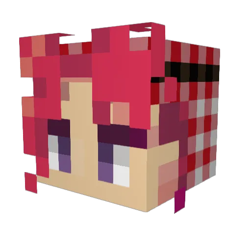 Eoghan48 Minecraft avatar head, 3D render