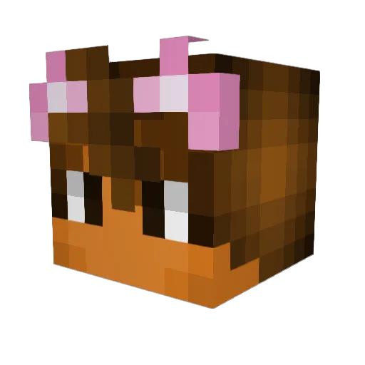 Eoghan_C Minecraft avatar head, 3D render