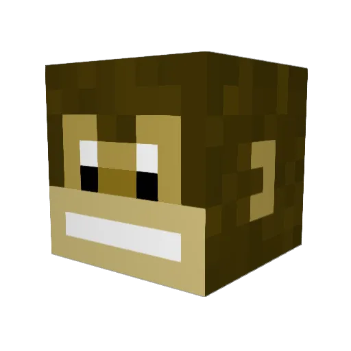 EoinBrack Minecraft avatar head, 3D render