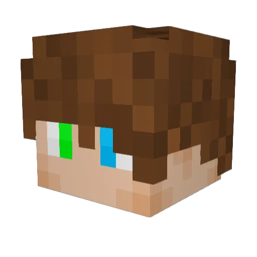 Eon2718 Minecraft avatar head, 3D render