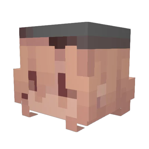 Eonia_the_witch Minecraft avatar head, 3D render