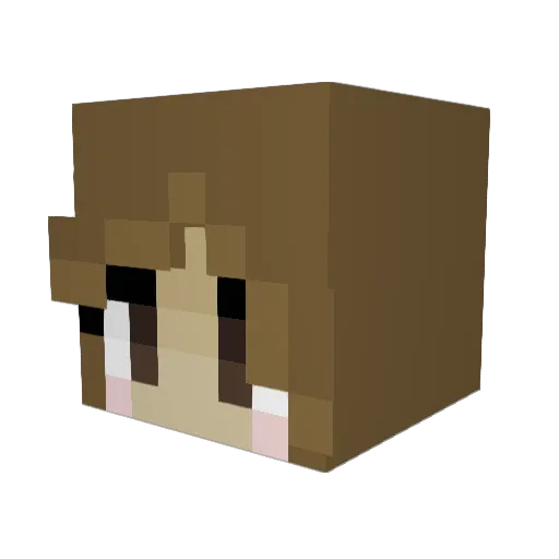 Eowyn1904 Minecraft avatar head, 3D render