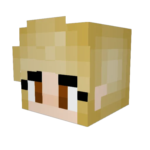EowynWildFlower Minecraft avatar head, 3D render