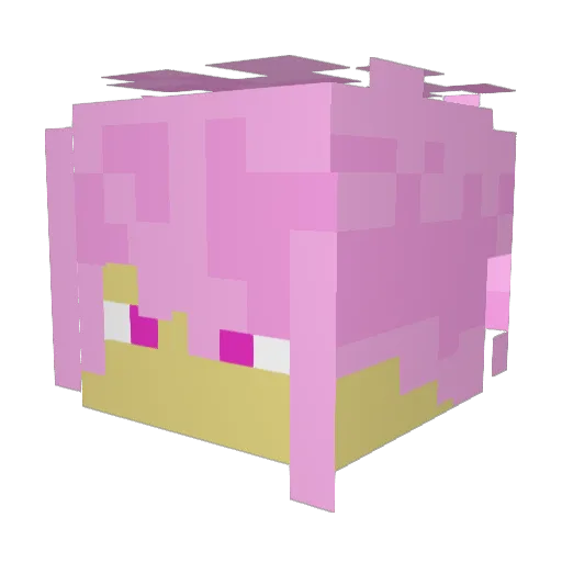 Epeli5555 Minecraft avatar head, 3D render