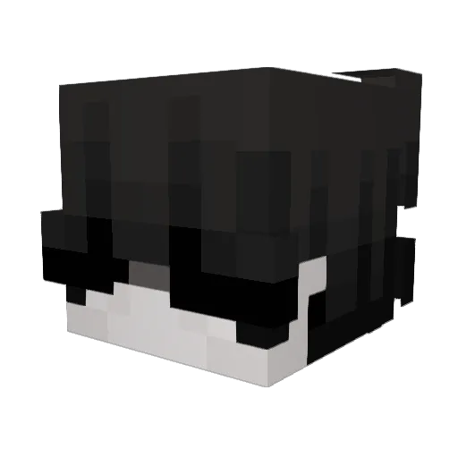 Ephebi Minecraft avatar head, 3D render