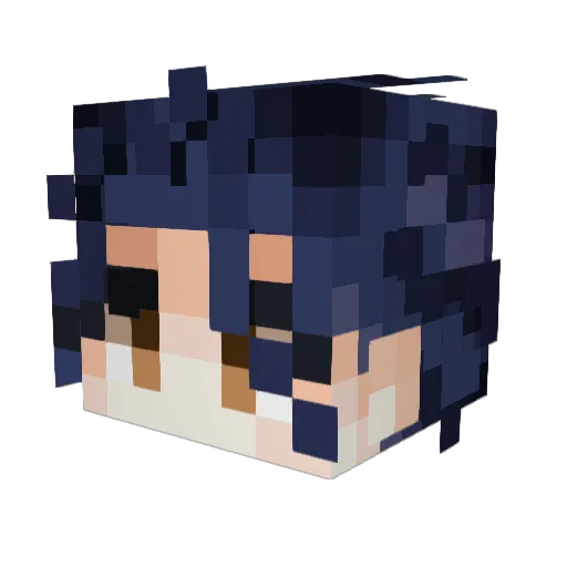 Ephinboo Minecraft avatar head, 3D render