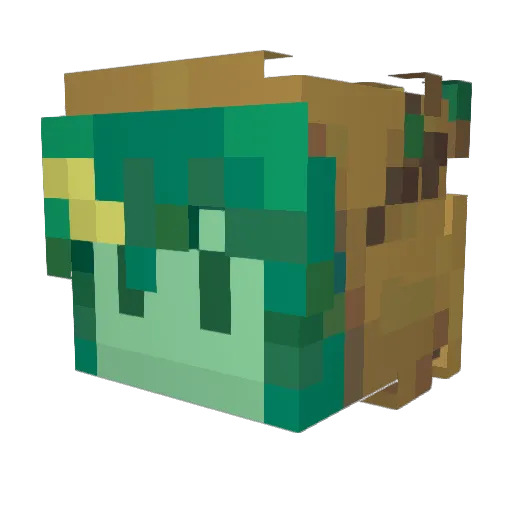 Ephw_ Minecraft avatar head, 3D render