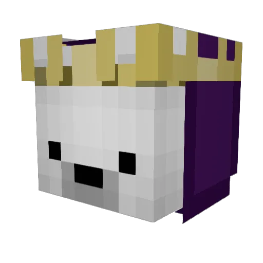 Epic6596 Minecraft avatar head, 3D render