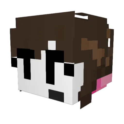 EpicBallerB3 Minecraft avatar head, 3D render