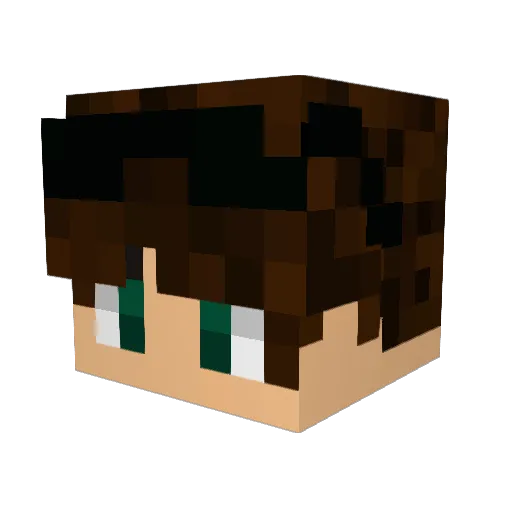 EpicBedrocker Minecraft avatar head, 3D render