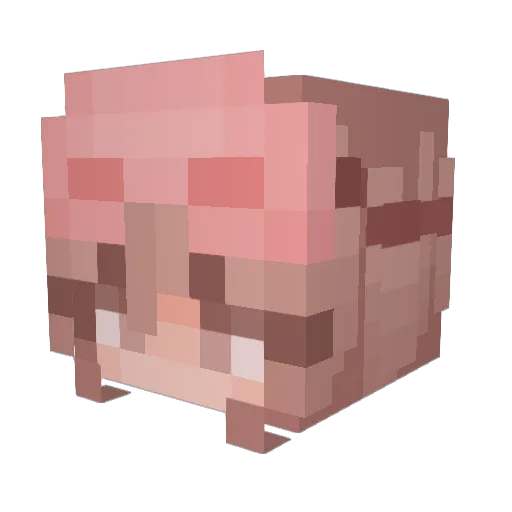 EpicBird1234 Minecraft avatar head, 3D render