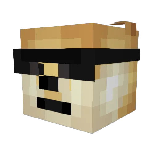 EpicBrick Minecraft avatar head, 3D render