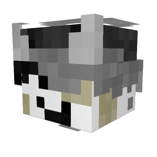 EpicCJ7937 Minecraft avatar head, 3D render
