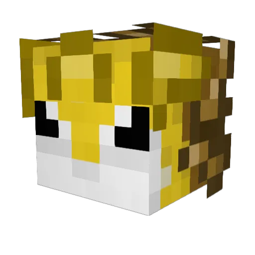 EpicCharmander Minecraft avatar head, 3D render