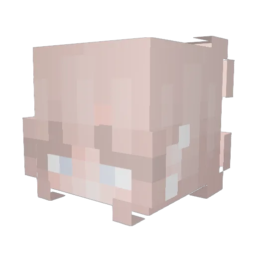 EpicCraft1001 Minecraft avatar head, 3D render