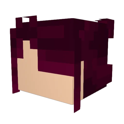 EpicDragon430 Minecraft avatar head, 3D render