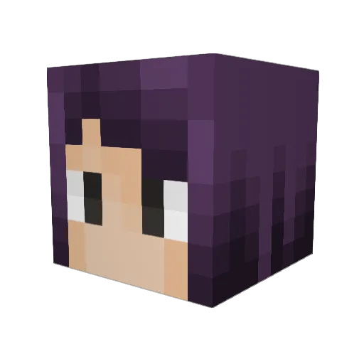 EpicDragon6543 Minecraft avatar head, 3D render