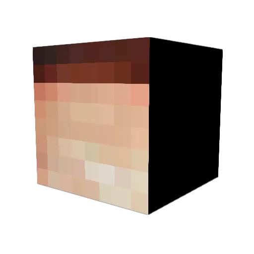 EpicEvade Minecraft avatar head, 3D render