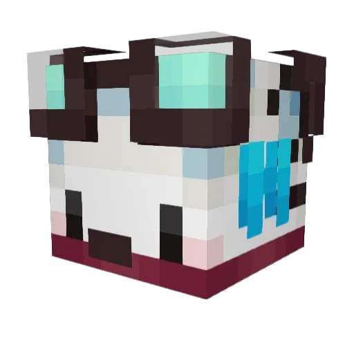 EpicFH Minecraft avatar head, 3D render