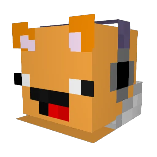 EpicFail_305 Minecraft avatar head, 3D render