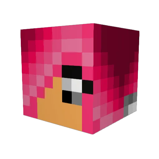 EpicFoXD Minecraft avatar head, 3D render