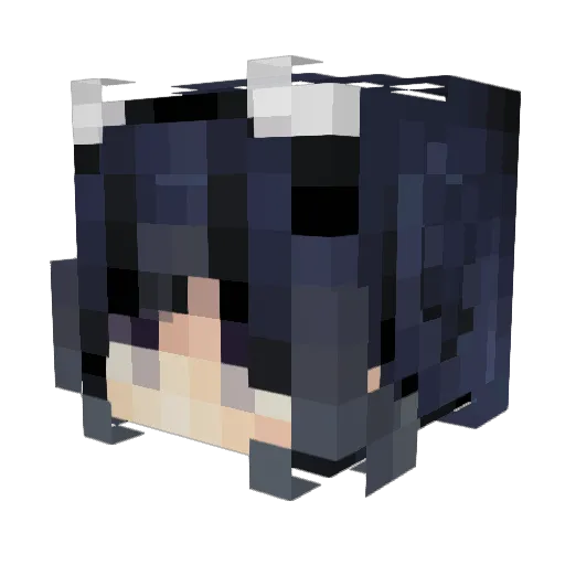 EpicGamer1134 Minecraft avatar head, 3D render