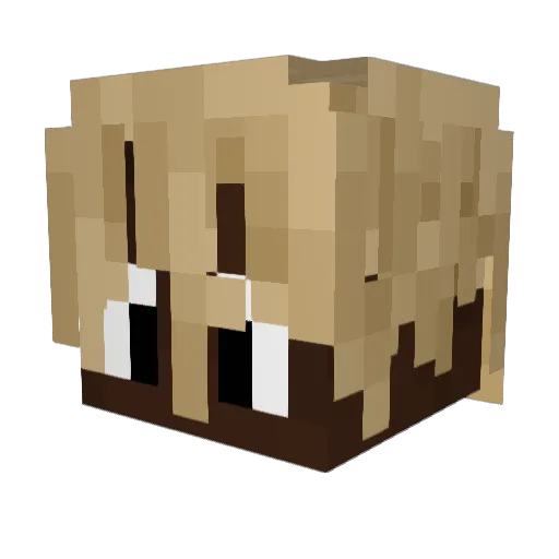 EpicGamer2012 Minecraft avatar head, 3D render