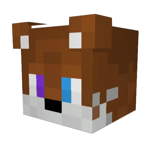 EpicGamer541 Minecraft avatar head, 3D render