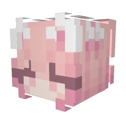 EpicGamerTagYE Minecraft avatar head, 3D render