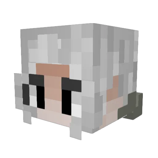EpicGuy2555 Minecraft avatar head, 3D render